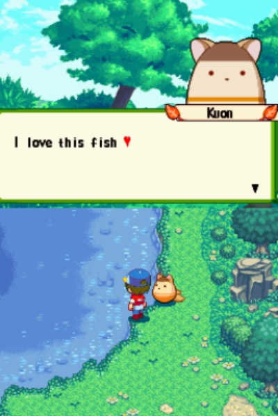 DS Screenshots