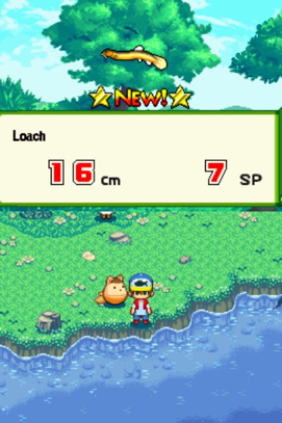 DS Screenshots