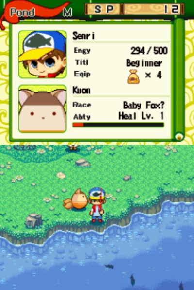 DS Screenshots