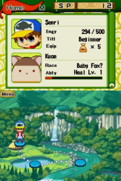 DS Screenshots