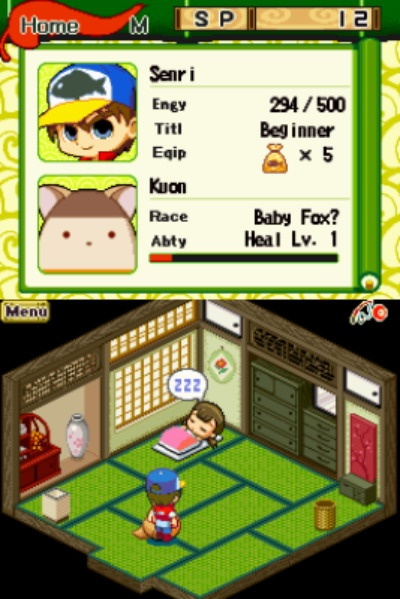 DS Screenshots