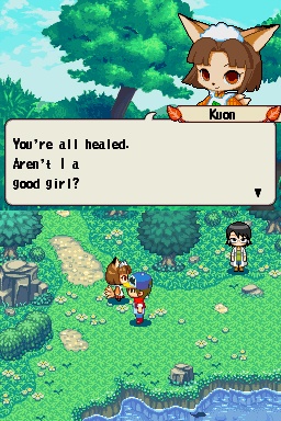 DS Screenshots