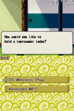 DS Screenshots