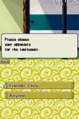 DS Screenshots