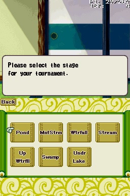 DS Screenshots
