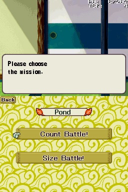 DS Screenshots