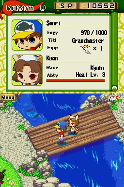 DS Screenshots