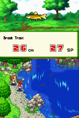DS Screenshots