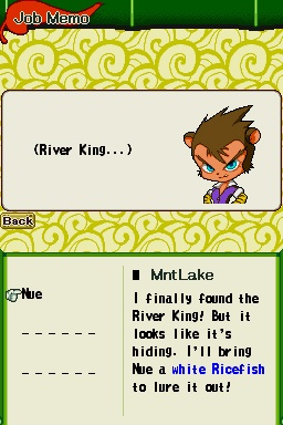 DS Screenshots