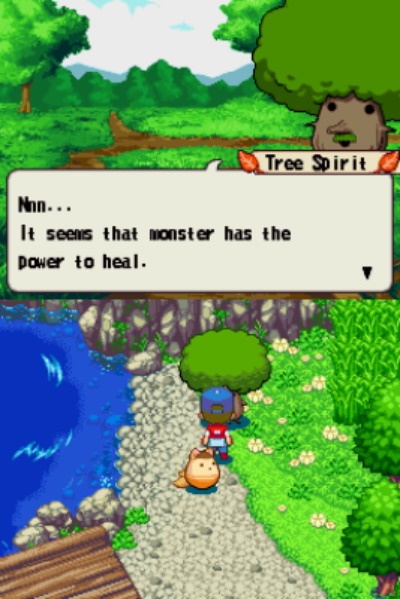 DS Screenshots