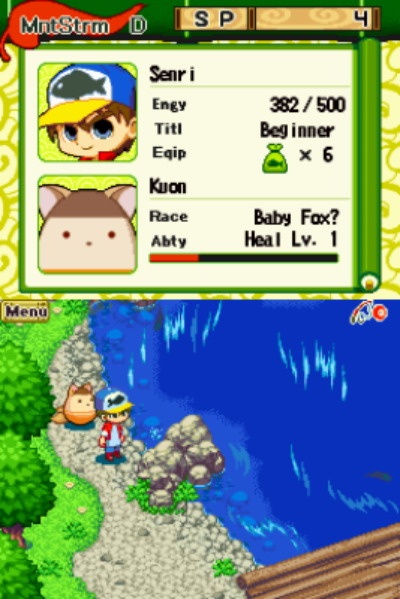 DS Screenshots