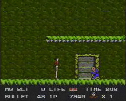NES Screenshots