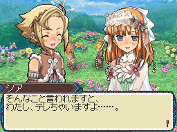DS Screenshots