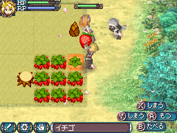 DS Screenshots