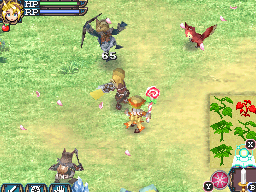 DS Screenshots
