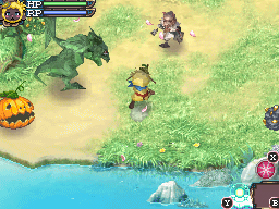 DS Screenshots