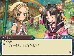 DS Screenshots