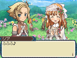 DS Screenshots