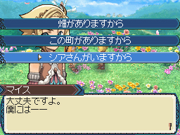 DS Screenshots