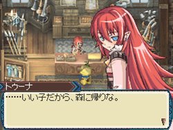 DS Screenshots