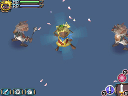 DS Screenshots