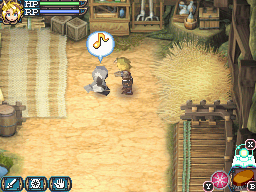 DS Screenshots