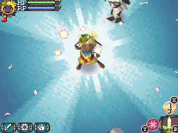 DS Screenshots