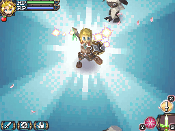 DS Screenshots