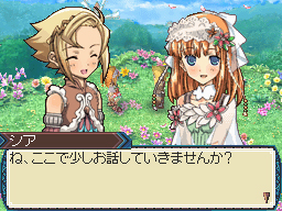 DS Screenshots