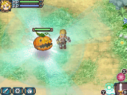 DS Screenshots