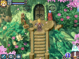 DS Screenshots