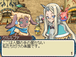DS Screenshots