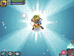 DS Screenshots
