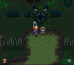 SNES Screenshots