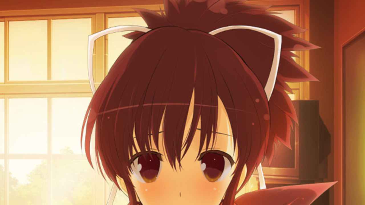 Senran Kagura Reflexions