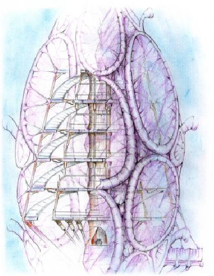Concept Art