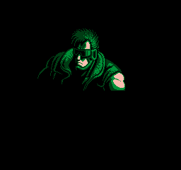NES Screenshots