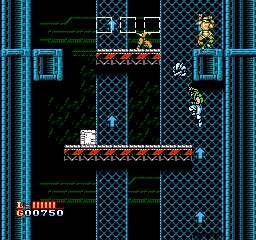 NES Screenshots