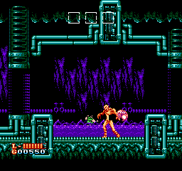 NES Screenshots