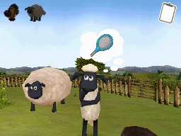 DS Screenshots