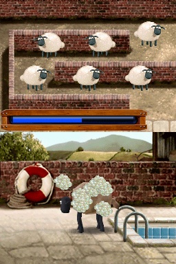 DS Screenshots