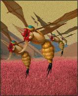 Native Life