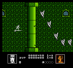 NES Screenshots