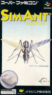 Box Art