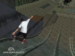 DS Screenshots