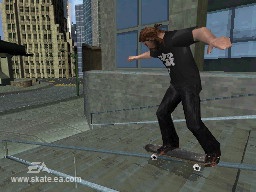 DS Screenshots