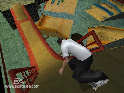 DS Screenshots