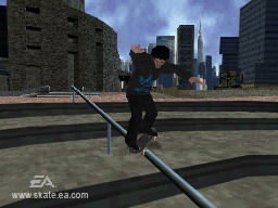 DS Screenshots