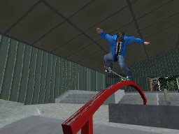 DS Screenshots