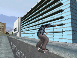 DS Screenshots